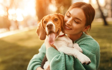 Migno Pet - 0542 220 38 06 | Köpeklerde Sık Nefes Alma Sebepleri Nelerdir?