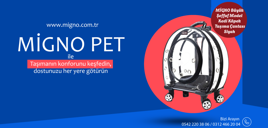 Migno Pet - 0542 220 38 06 | 