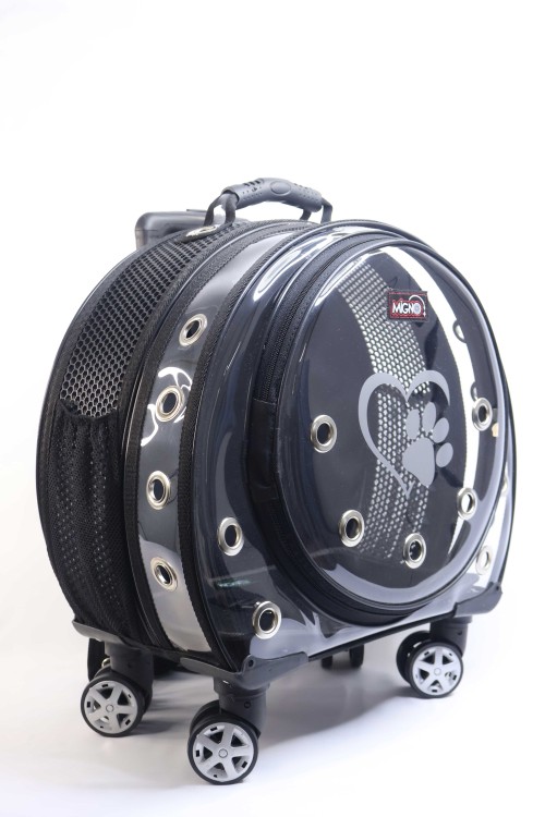 Migno Pet - 0542 220 38 06 | MİGNO Space Model Kedi Köpek Taşıma Çantası Fileli Şeffaf Siyah